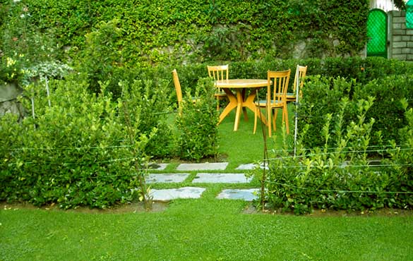 Lush green lawn. Hamta Hall_1